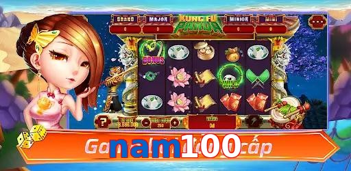 nam100
