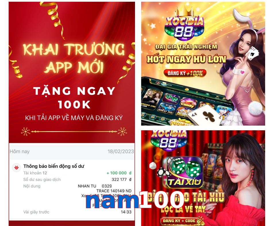nam100